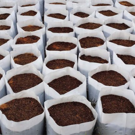 Coco-Peat-5